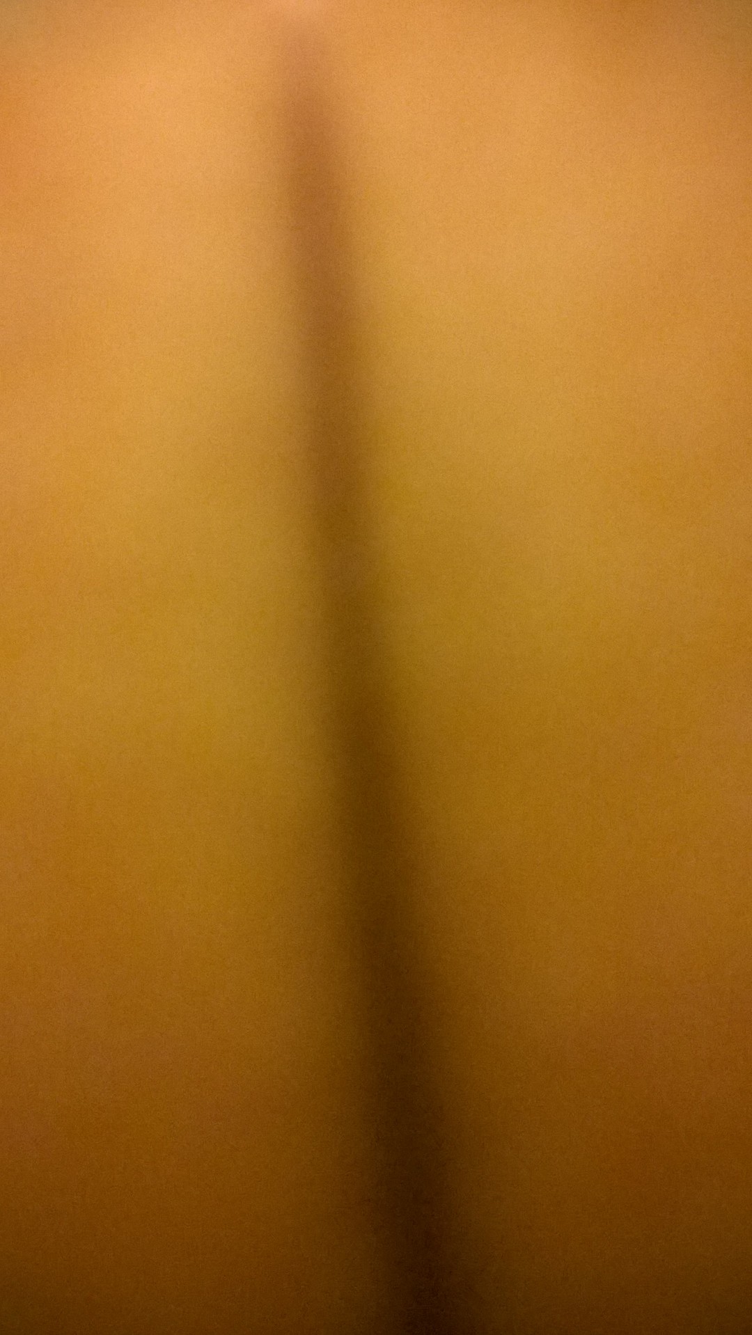 Photo amateur n°333 — Brigitte la Salope
