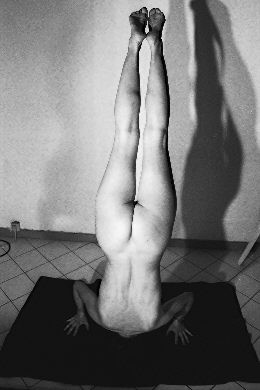 Photo amateur n°2624 — Brigitte la Salope