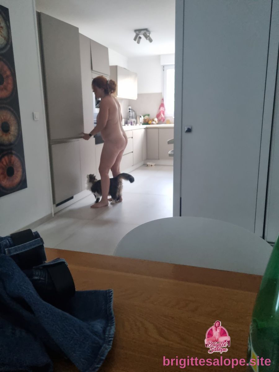 Nue dans la cuisine (photo 454) — Brigitte la Salope