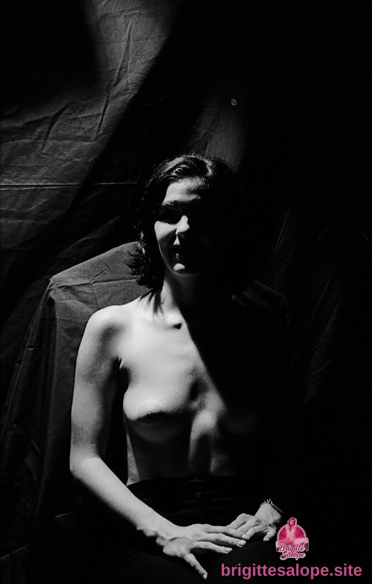 Éclipse de lumière — Brigitte la Salope